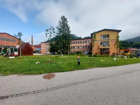 drevesa srednja šola 18072023